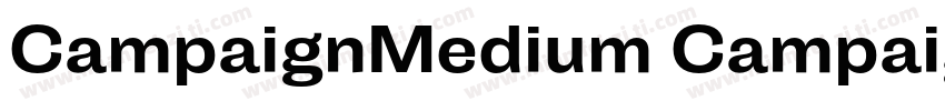 CampaignMedium CampaignBold字体转换